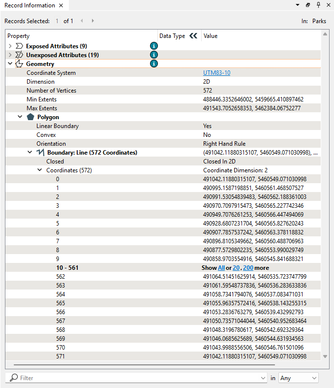 Geometry in the Record Information Window